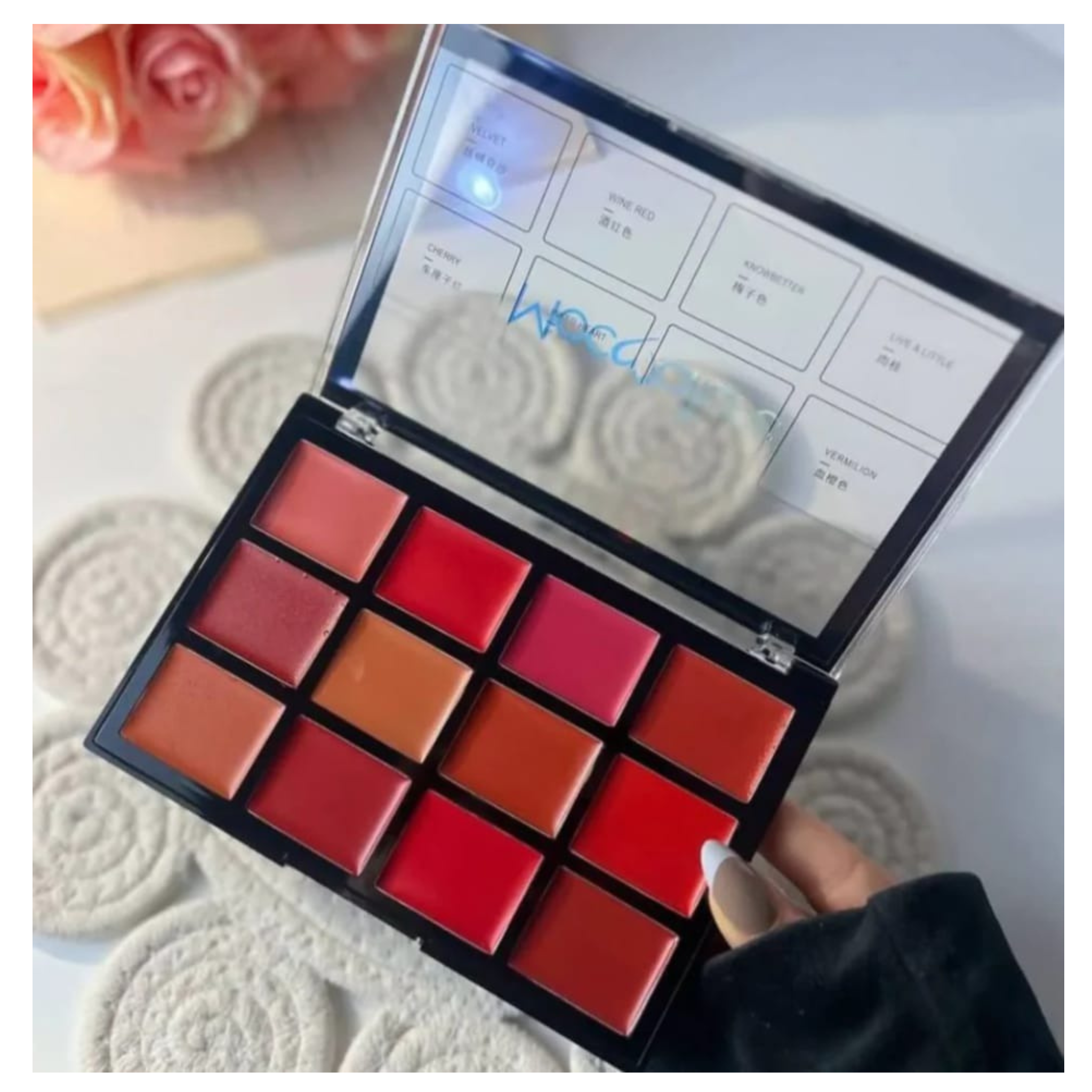 Mocallure 12-Color Lip Palette / Long-Lasting Professional Lip Kit for Every Mood